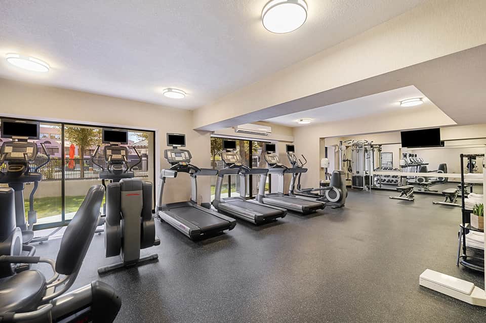 Bright fitness center with multiple treadmills, exercise equipment, and floor-to-ceiling windows