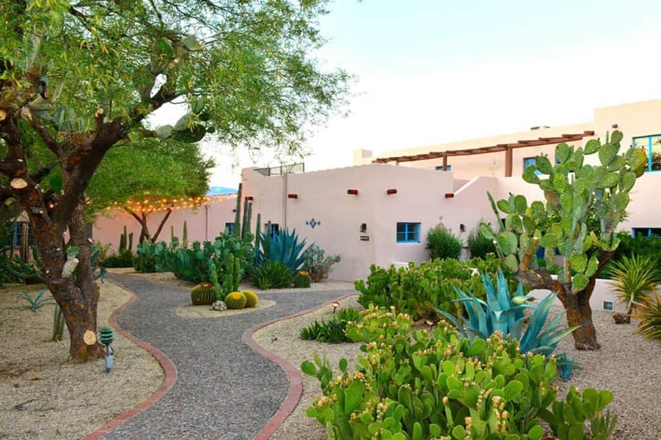 Desert landscape courtyard with cacti, succulent plants, and sandy pathways