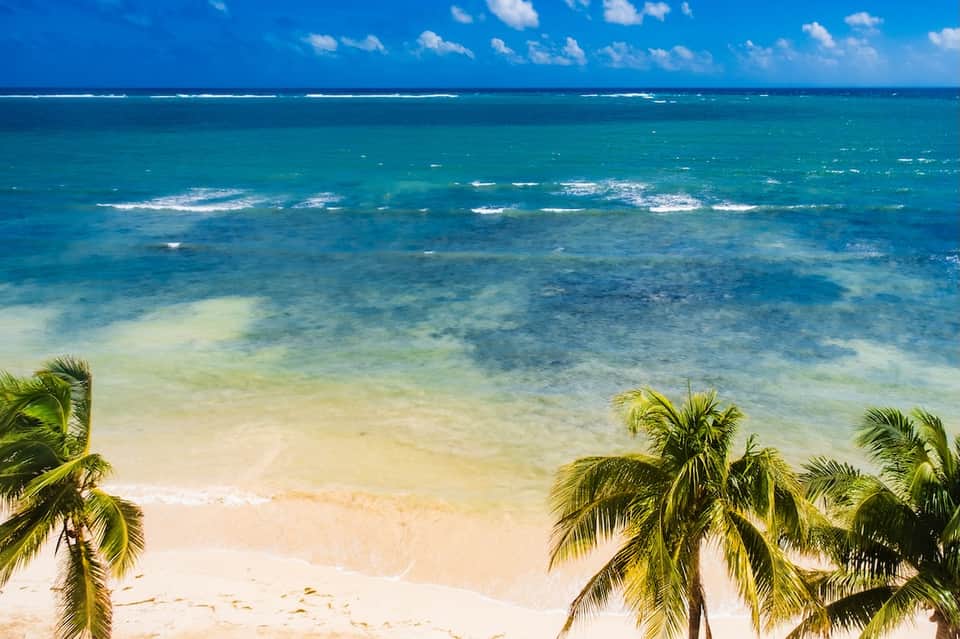Tropical beach with white sand, turquoise water, and palm fronds