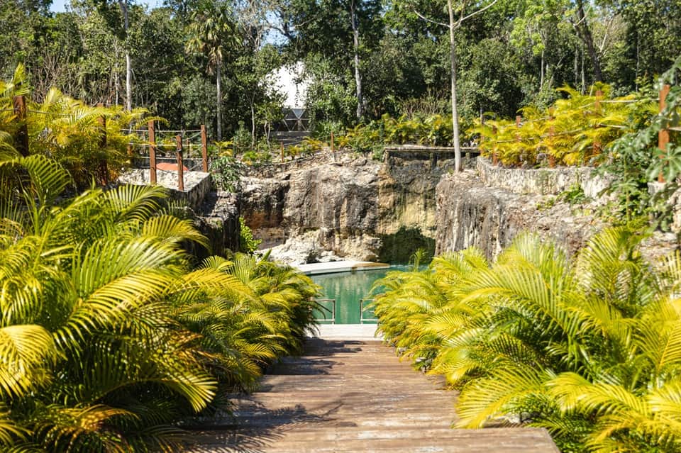Wooden boardwalk lined with palm trees leading to natural cenote pool surrounded by limestone cliffs
