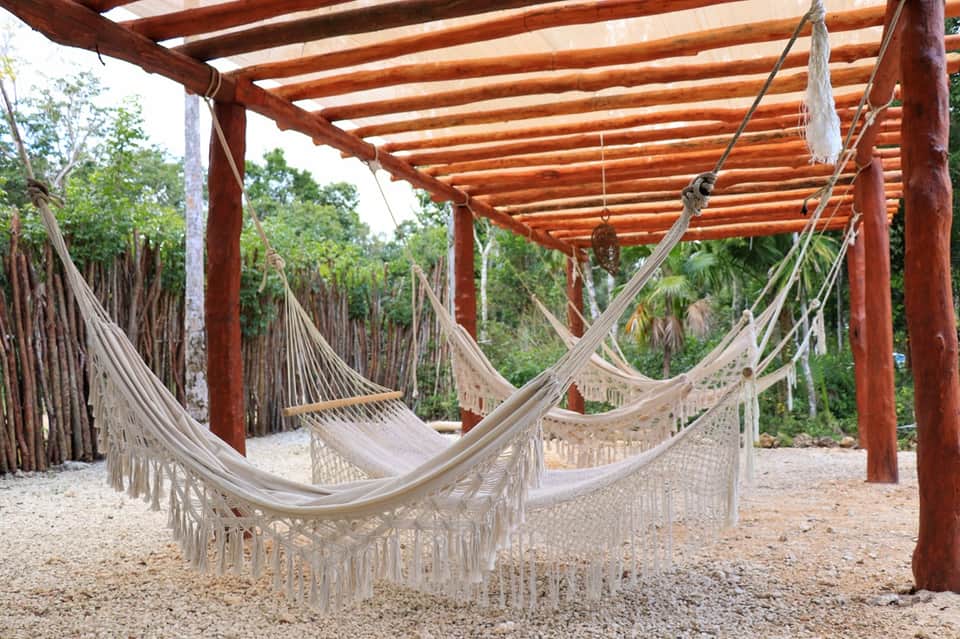 Hammocks with fringe hanging under wooden pergola in tropical setting