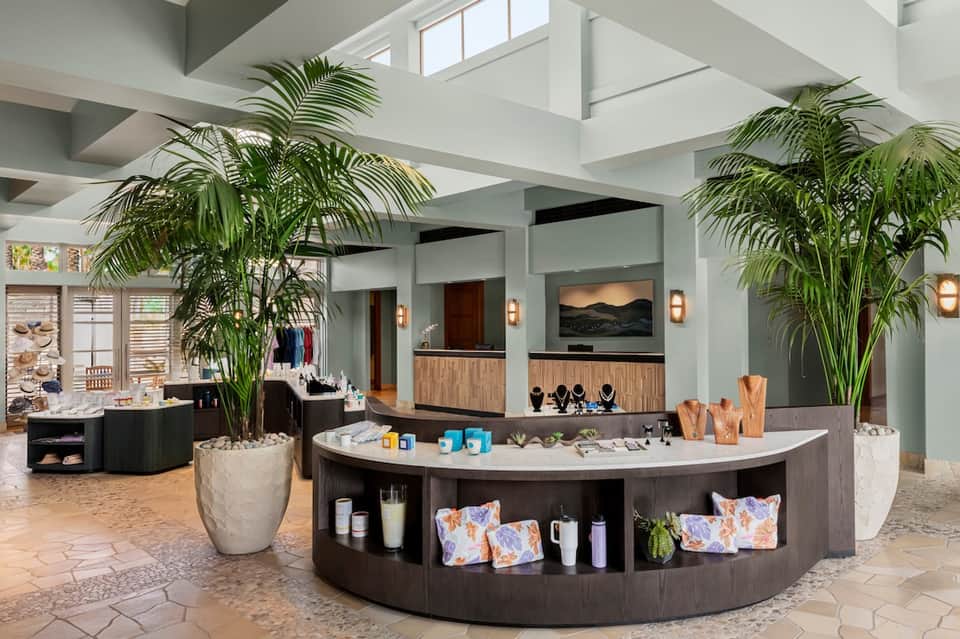 Spa reception area with curved counter, tall plants, skylights, and modern décor