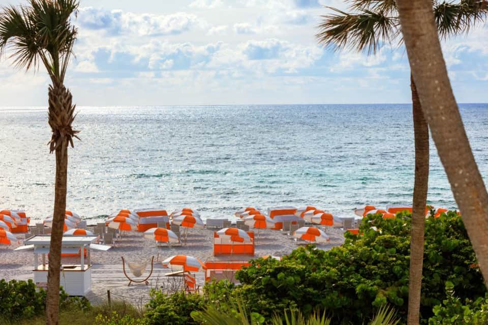 Beach view with orange and white umbrellas, palm trees, and calm ocean horizon