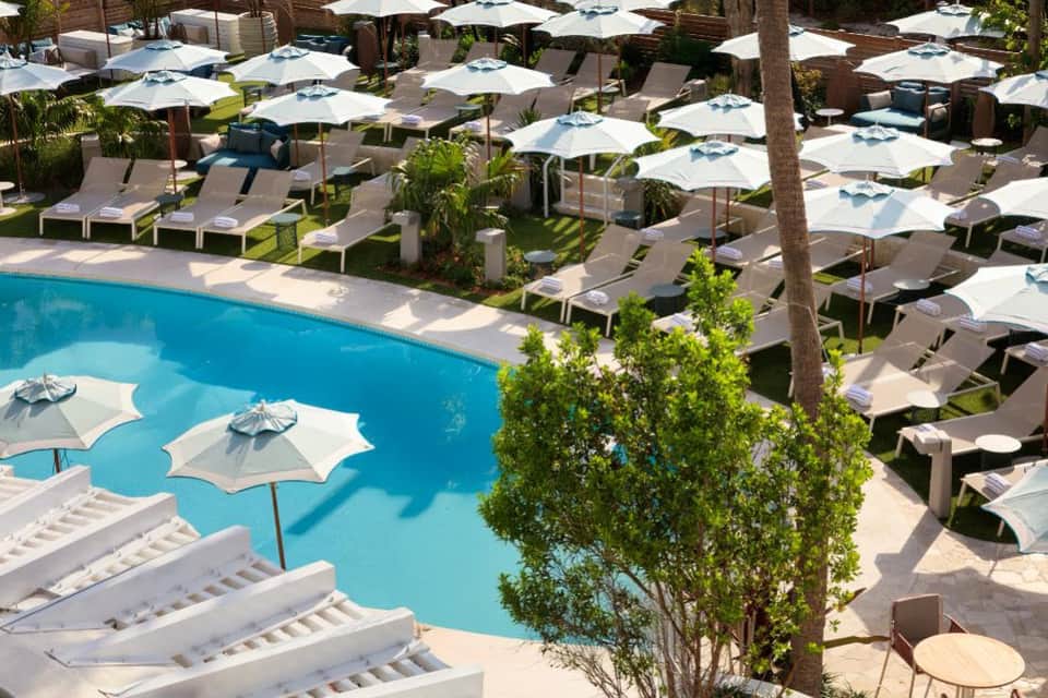 Resort pool deck with blue water, white umbrellas, lounge chairs, palm trees, and manicured landscaping