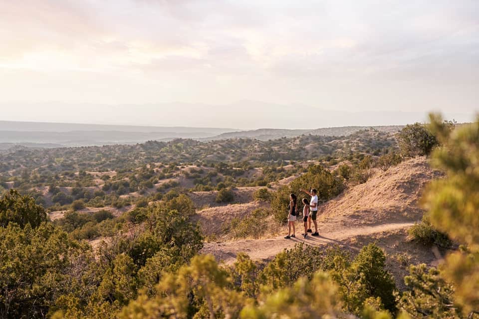 Three hikers standing on hillside overlooking forested valley and distant water