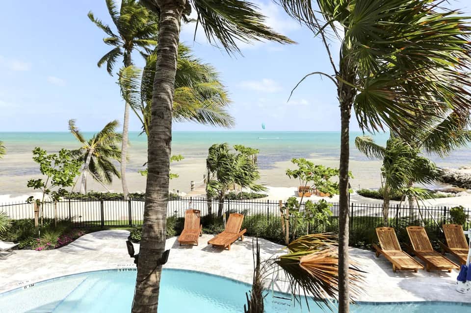 Beachfront pool area with lounge chairs, palm trees, and turquoise ocean view