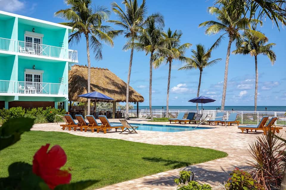 Beachfront resort pool with thatched cabana, palm trees, and turquoise ocean