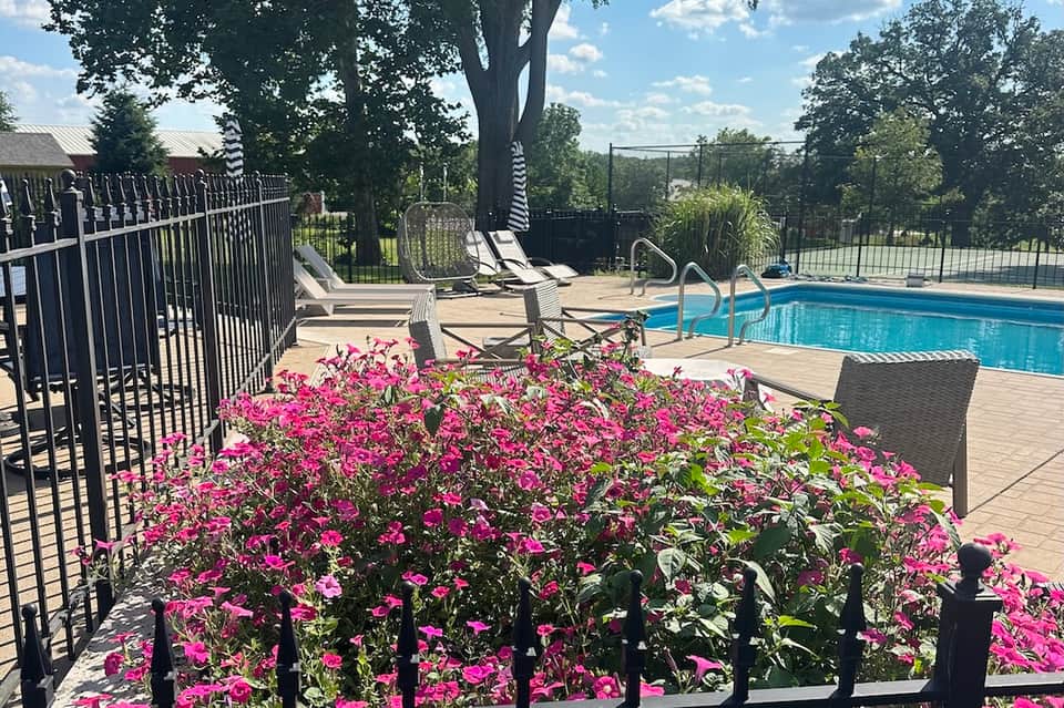 Resort pool deck with pink flowering shrubs, lounge chairs, umbrella, fencing, and trees in background