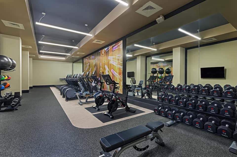 Modern fitness center with rows of cardio machines, stationary bikes, and free weights
