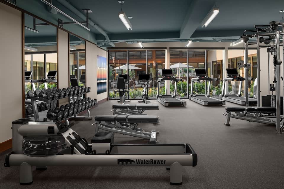 State-of-the-art gym with free weights, cardio machines, and extensive equipment