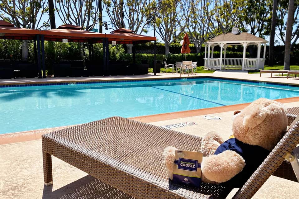 Teddy bear on lounge chair by sparkling pool with gazebo and shade structures in background