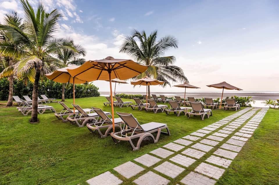 Beachfront lounge area with palm trees, umbrellas, lounge chairs, and ocean views