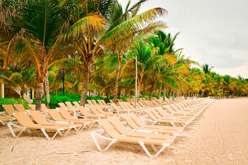 Beach with rows of beige lounge chairs under palm trees along the sand