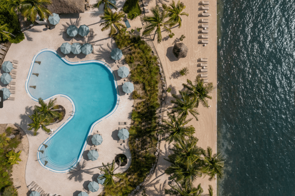 Aerial view of kidney-shaped pool surrounded by beach, umbrellas, and palm trees by ocean