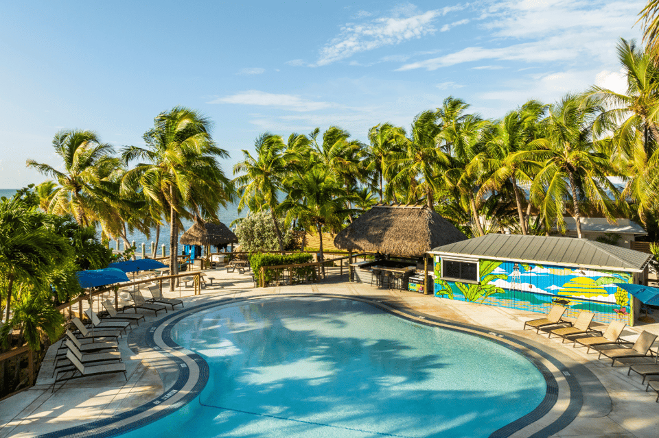 Tropical resort pool with tiki bar, palm trees, ocean view, and lounge seating