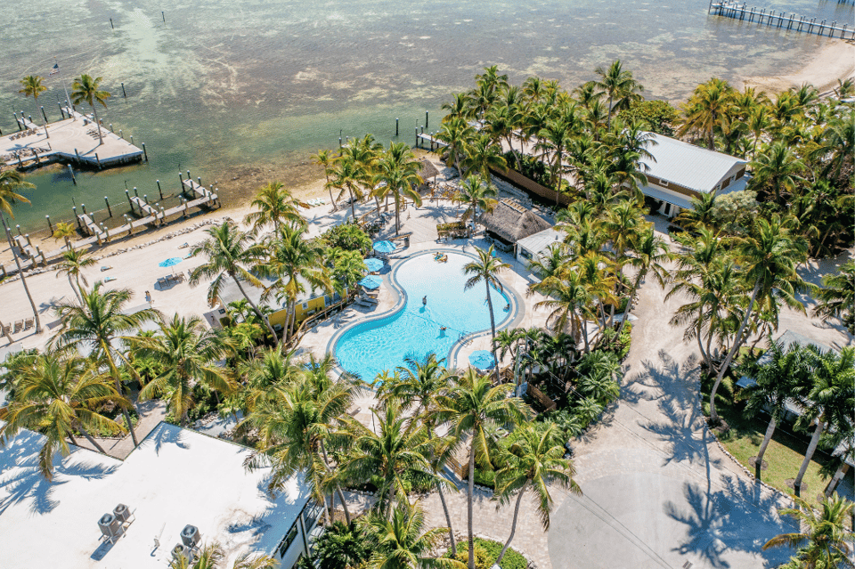Tropical resort aerial view showing curved pool, beach access, palm trees, and water activities