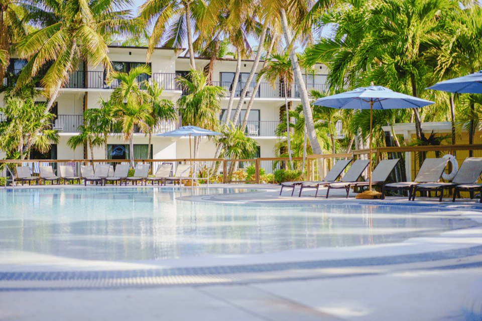 Resort pool area surrounded by palm trees, lounge chairs with umbrellas, and residential building