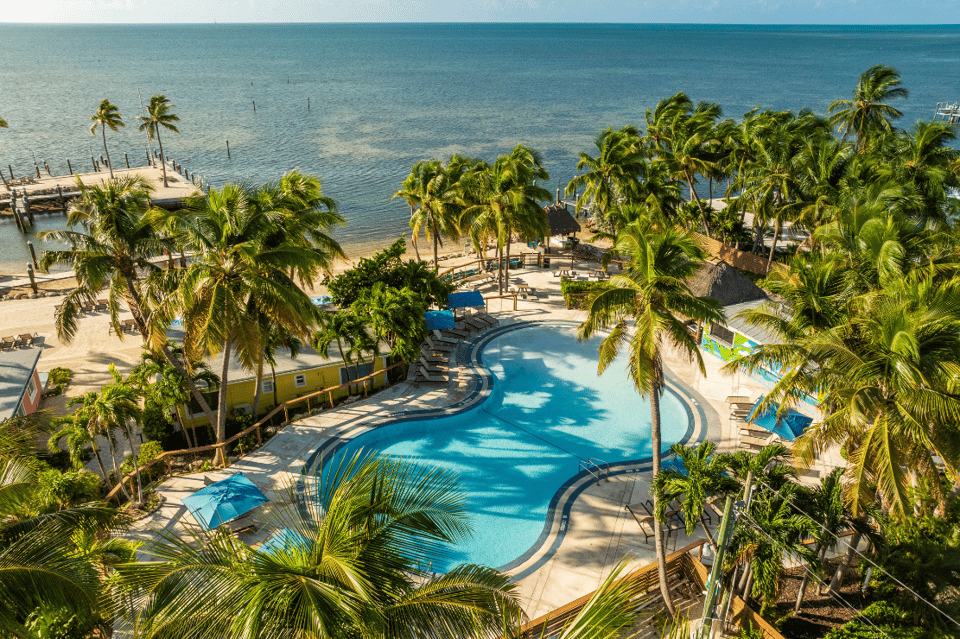 Beachfront resort with curved pool, palm trees, ocean view, and yellow water slide