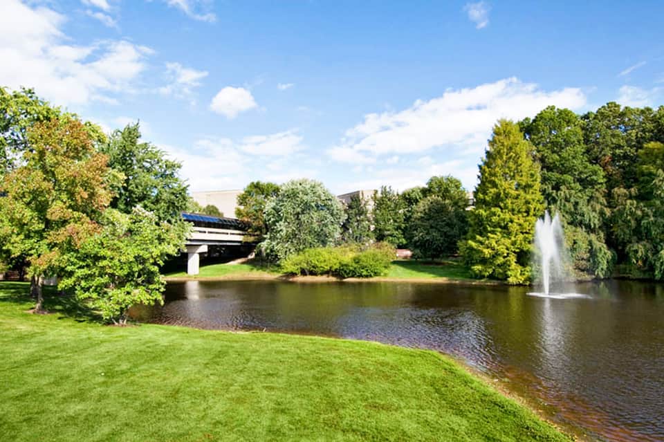 Scenic park with manicured lawn, pond, fountain, and lush trees under blue sky
