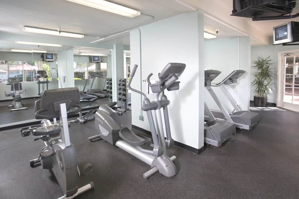Bright fitness center with exercise bikes, ellipticals, and weight equipment