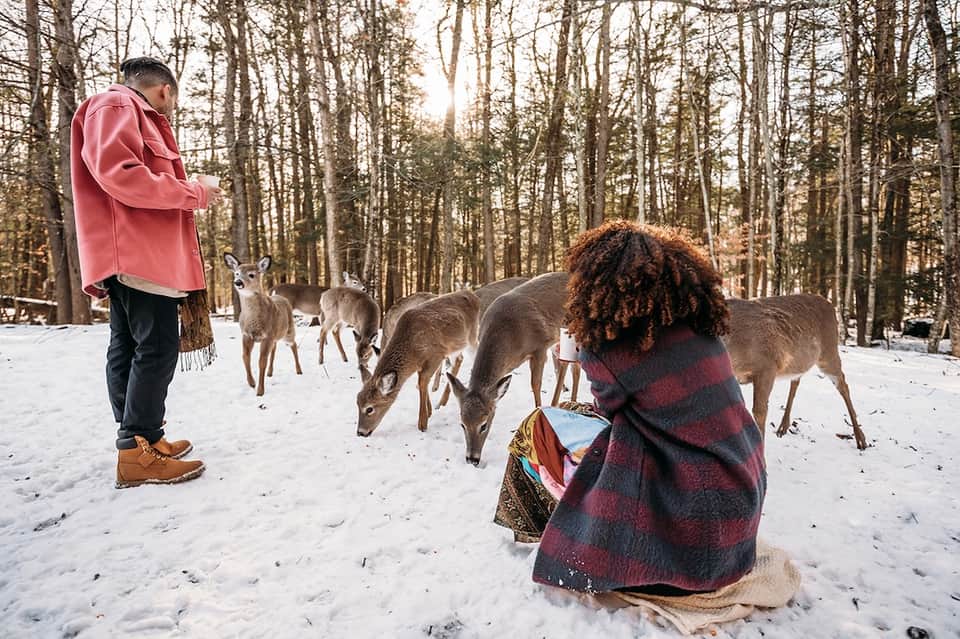 Visitors feeding deer in snowy forest clearing while wrapped in blankets