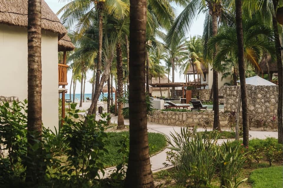 Tropical resort grounds with palm trees, white buildings, and ocean view between structures