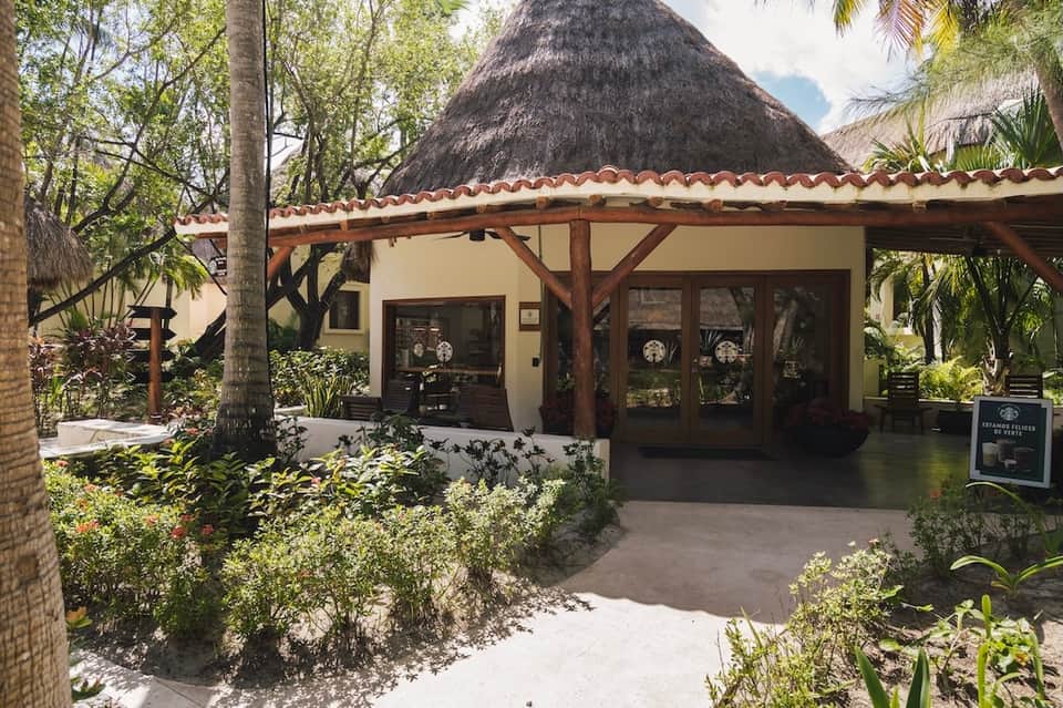 Tropical spa entrance with thatched roof, wooden pergola, and lush landscaping surrounding the treatment facility