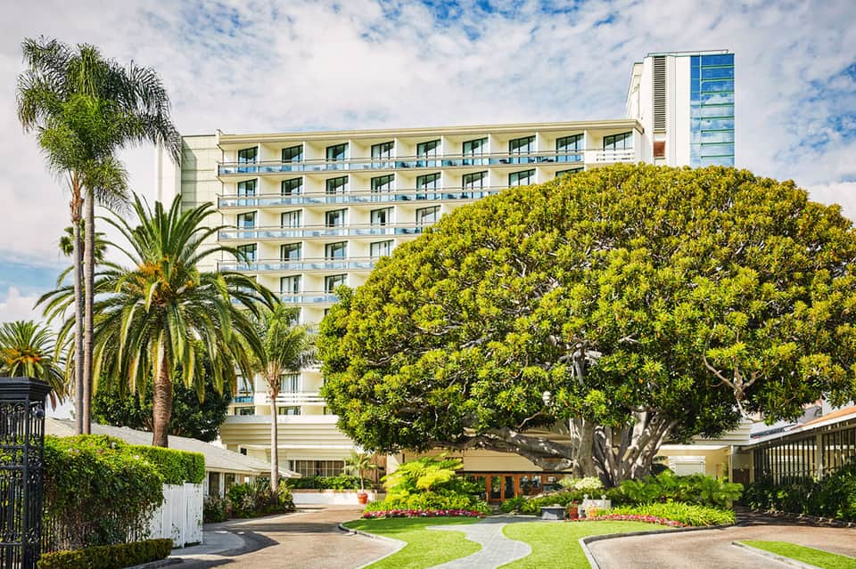 Luxury hotel exterior with palm trees and manicured gardens featuring large shade tree