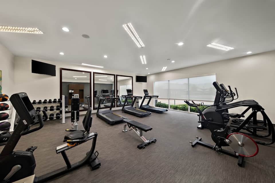 Modern gym with cardio equipment, weights, and panoramic window views