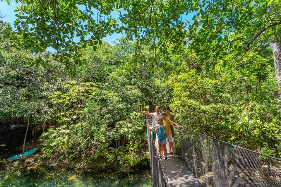 Family on raised wooden boardwalk pathway through lush green jungle canopy with waterway below.