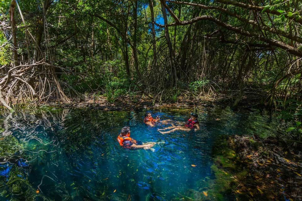 Cenote swimming hole surrounded by lush jungle vegetation with swimmers enjoying crystal waters