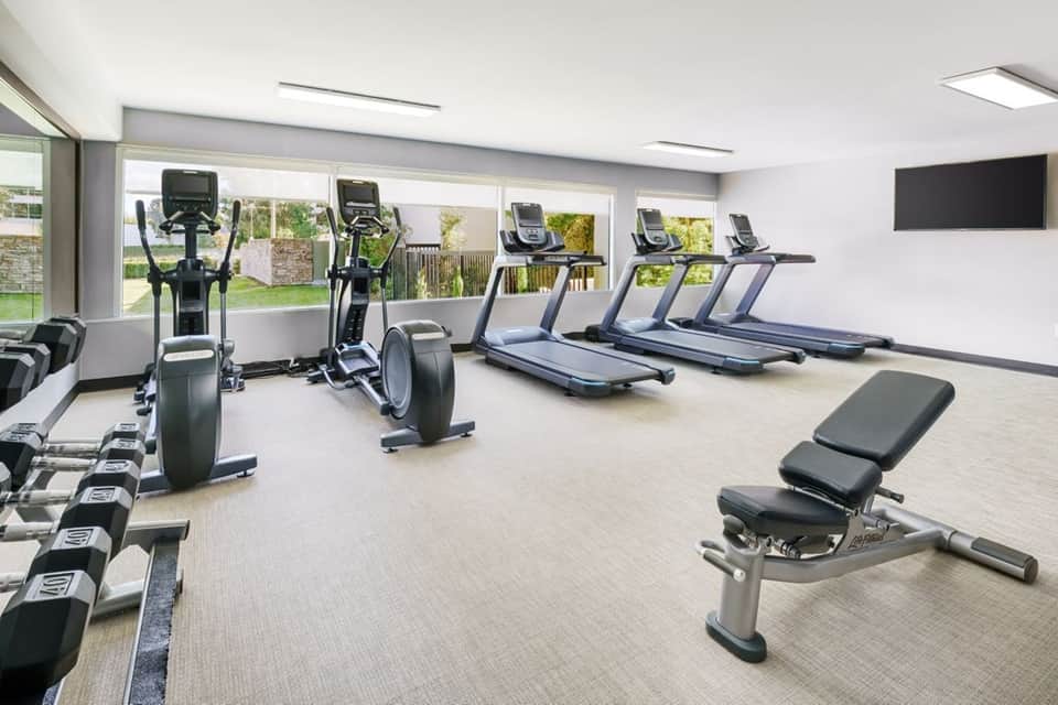 Modern fitness facility with elliptical machines, treadmills, dumbbells, and garden views