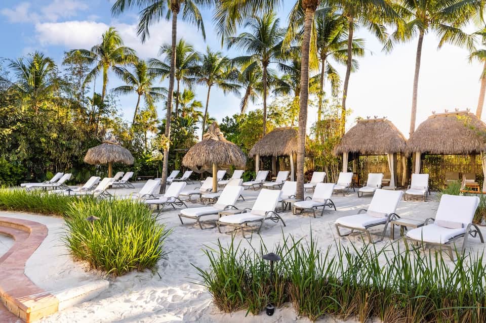 Beach lounge area with rows of white chaise lounges, thatched umbrellas, palm trees, and sandy grounds
