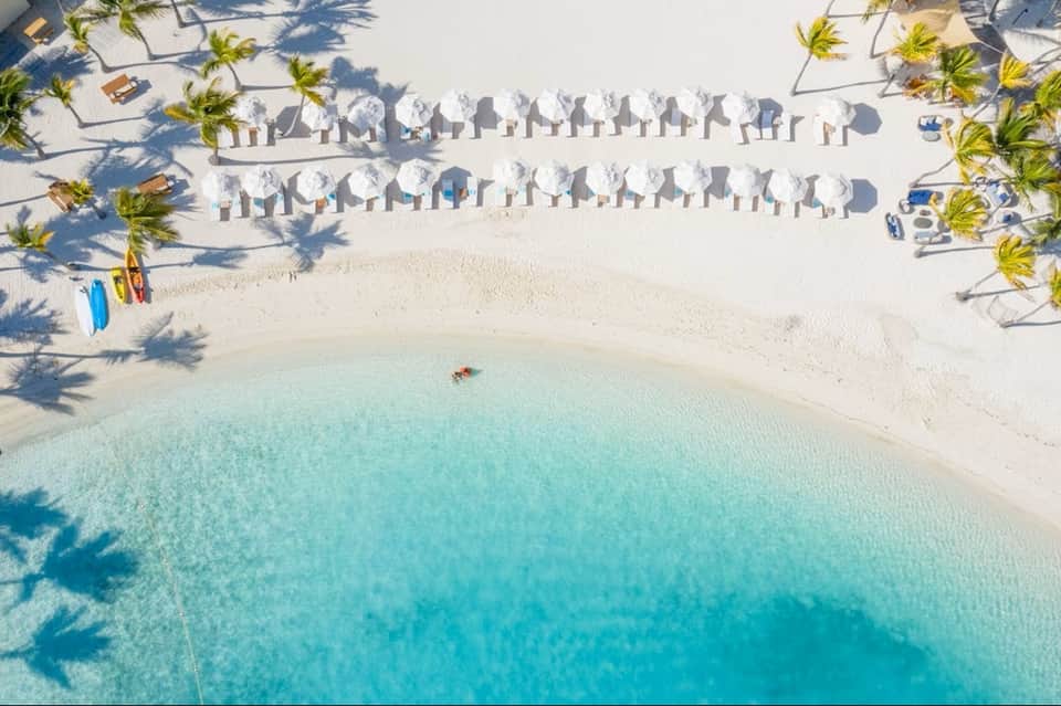 Aerial view of pristine beach with white umbrellas, lounge chairs, palm trees, and turquoise water