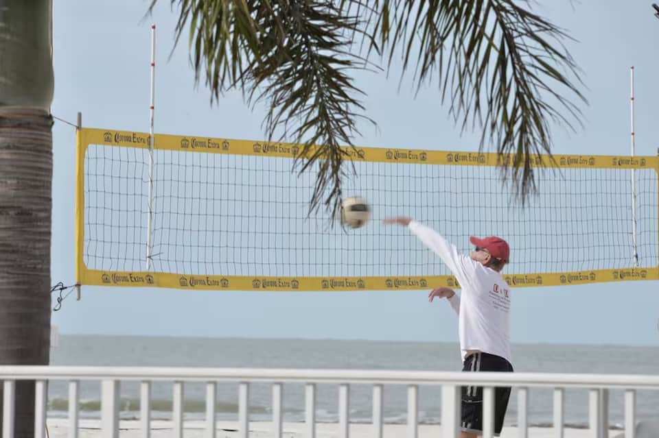 Beach volleyball player spiking ball over net with ocean, palm tree, and clear sky visible