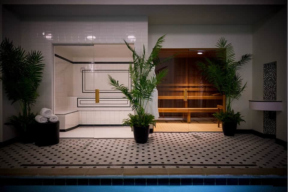 Spa area with modern shower enclosure, sauna room with wooden interior, and plant décor