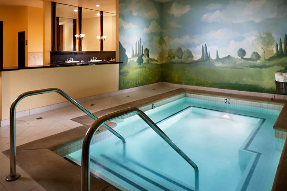 Indoor spa with hot tubs, scenic landscape mural, and modern vanity with mirrors