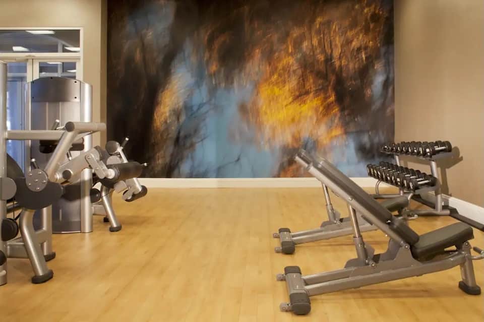 Modern fitness center with weight machines and abstract wall artwork