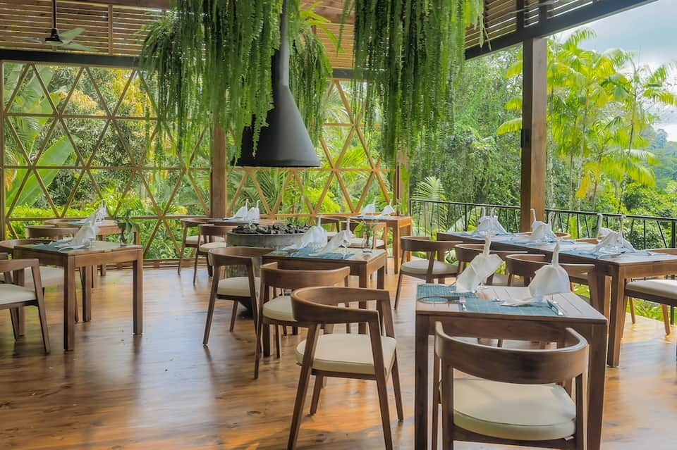 Fine dining restaurant with wooden tables, hanging plants, natural light, and mountain views