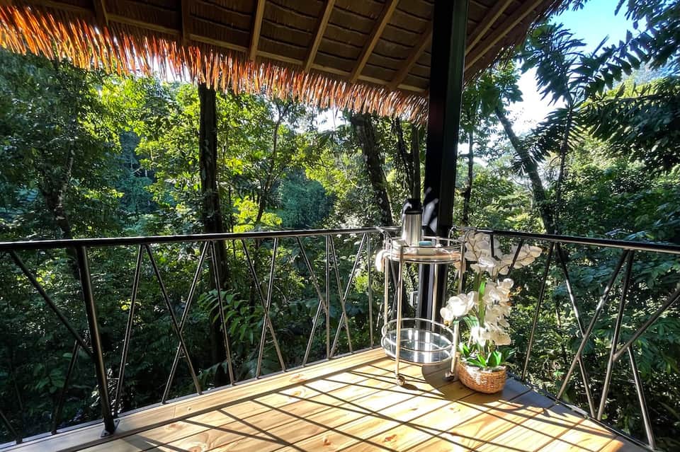 Covered wooden deck with metal railing overlooking lush jungle canopy and foliage
