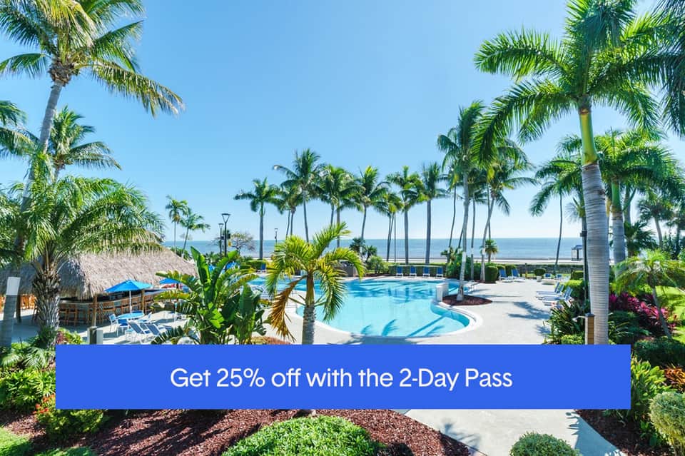 Tropical resort pool with palm trees, thatched roof, lounge chairs, and ocean horizon