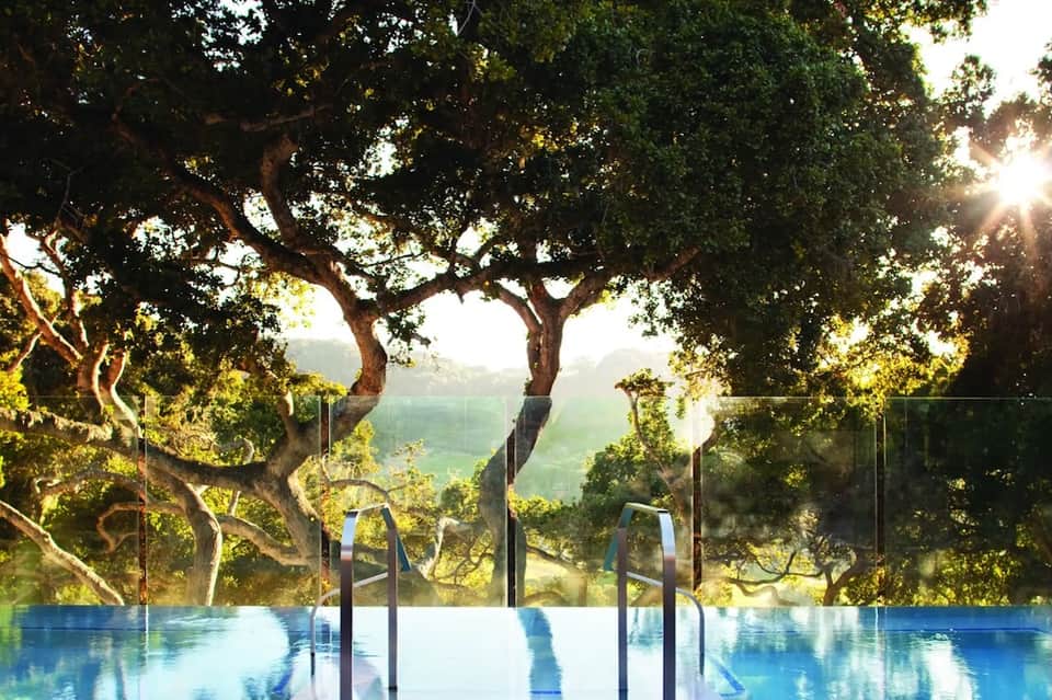 Infinity pool overlooking lush green valley with dramatic tree branches framing view