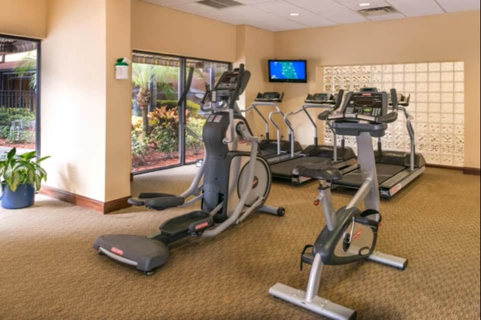 Modern fitness center with cardio equipment, elliptical machines, and glass doors overlooking tropical garden