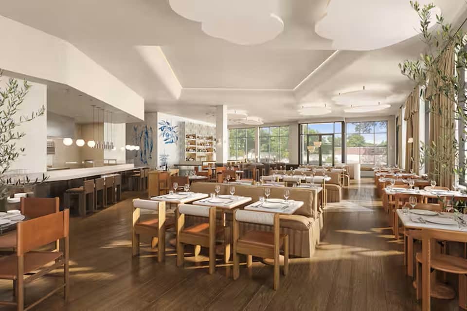 Modern restaurant with warm wood furnishings, bar counter, and large windows