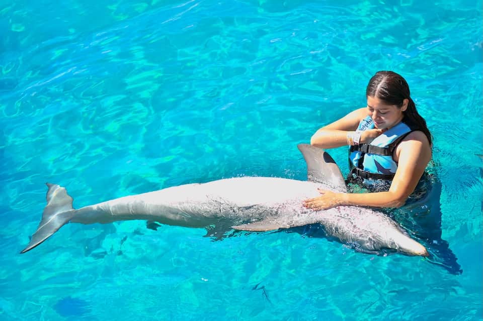 Woman in pool snorkeling vest interacting with two friendly dolphins in crystal clear turquoise water