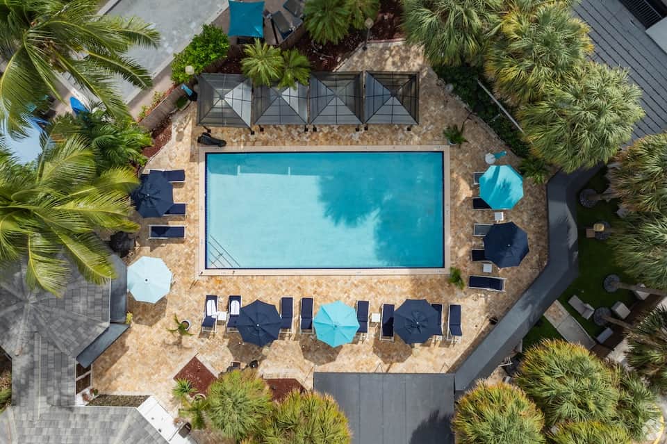 Aerial view of rectangular pool surrounded by palm trees and lounge chairs