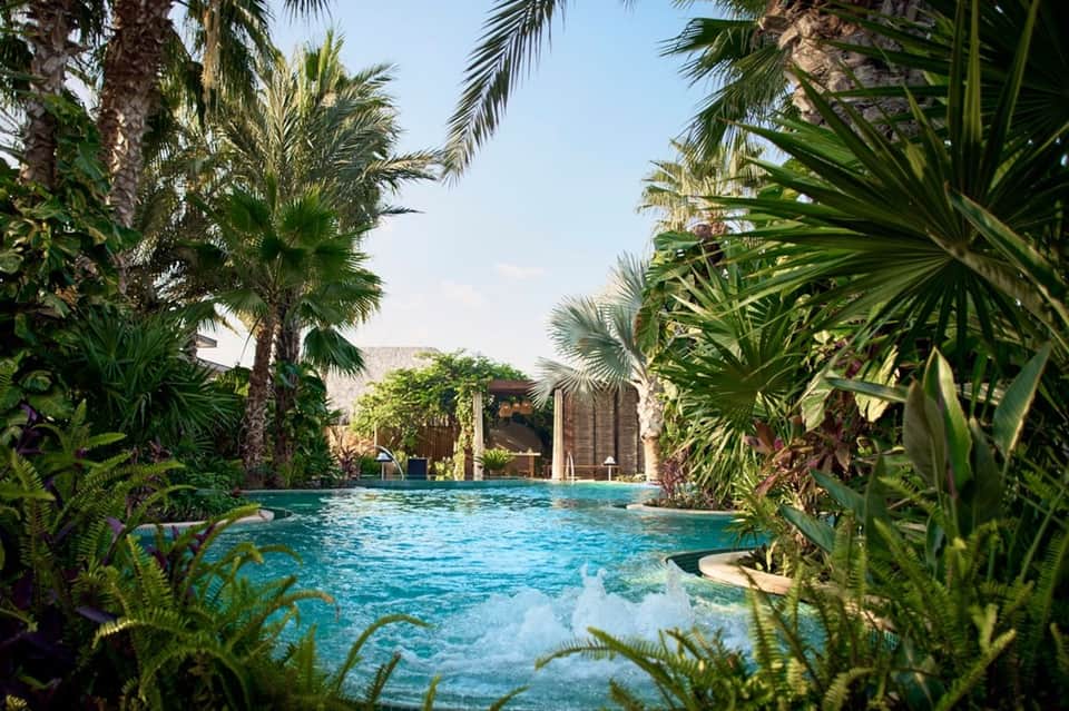 Tropical resort pool surrounded by palm fronds, lush greenery, and modern building architecture
