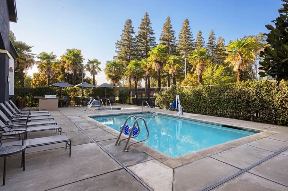 Resort swimming pool surrounded by tall pine trees, palm trees, lounge chairs, and modern buildings