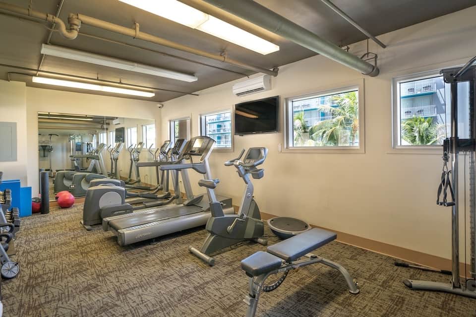 Modern fitness center with cardio equipment, mirrors, and windows overlooking palm trees