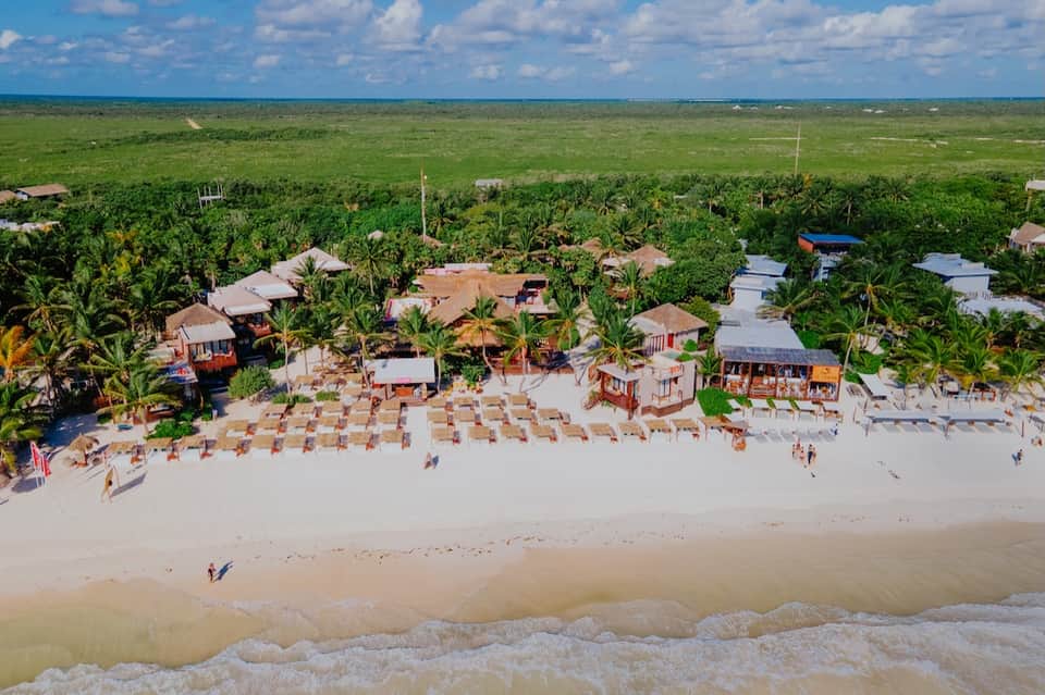 Aerial view of beachfront resort with thatched-roof bungalows, sandy beach, and lush palm forest